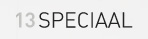 logo 13special